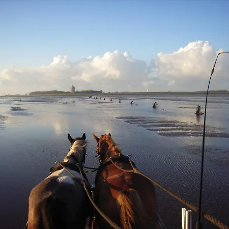 شقة Residenz Medemsand