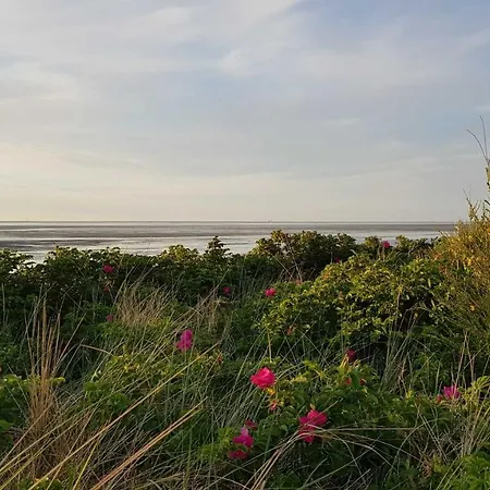 Apartamento Residenz Medemsand