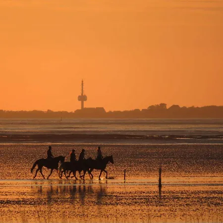 Residenz Medemsand شقة كوكسهافن